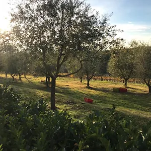 Holiday home Il Villino
